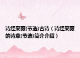 诗经采薇(节选)古诗（诗经采薇的诗意(节选)简介介绍）