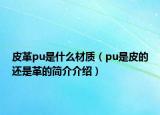 皮革pu是什么材质（pu是皮的还是革的简介介绍）