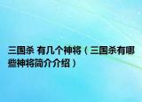 三国杀 有几个神将（三国杀有哪些神将简介介绍）