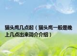 猫头鹰几点起（猫头鹰一般是晚上几点出来简介介绍）