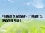 b站是什么百度百科（b站是什么东西简介介绍）