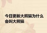 今日更新大熊猫为什么会叫大熊猫