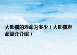 大熊猫的寿命为多少（大熊猫寿命简介介绍）