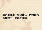蟾宫折桂上一句是什么（六月蟾宫折桂枝下一句简介介绍）