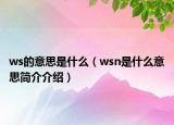 ws的意思是什么（wsn是什么意思简介介绍）