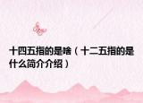 十四五指的是啥（十二五指的是什么简介介绍）