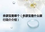 余额宝是哪个（余额宝是什么银行简介介绍）
