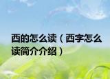 酉的怎么读（酉字怎么读简介介绍）