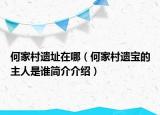 何家村遗址在哪（何家村遗宝的主人是谁简介介绍）