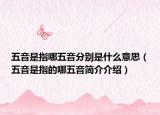 五音是指哪五音分别是什么意思（五音是指的哪五音简介介绍）