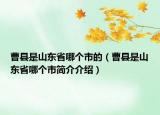 曹县是山东省哪个市的（曹县是山东省哪个市简介介绍）