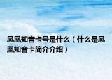 凤凰知音卡号是什么（什么是凤凰知音卡简介介绍）