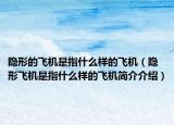 隐形的飞机是指什么样的飞机（隐形飞机是指什么样的飞机简介介绍）