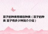 豆子的种类有哪些种类（豆子的种类 豆子有多少种简介介绍）