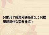 只狼几个结局分别是什么（只狼结局是什么简介介绍）