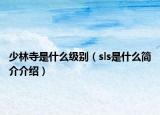 少林寺是什么级别（sls是什么简介介绍）