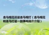 走马观花还是走马观灯（走马观花和走马灯是一回事吗简介介绍）