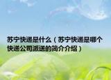 苏宁快递是什么（苏宁快递是哪个快递公司派送的简介介绍）