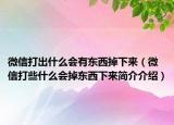 微信打出什么会有东西掉下来（微信打些什么会掉东西下来简介介绍）