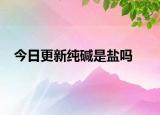 今日更新纯碱是盐吗