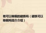 有可以吸铜的磁铁吗（磁铁可以吸铜吗简介介绍）