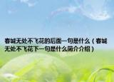 春城无处不飞花的后面一句是什么（春城无处不飞花下一句是什么简介介绍）