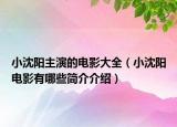 小沈阳主演的电影大全（小沈阳电影有哪些简介介绍）