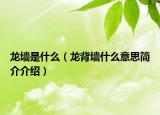 龙墙是什么（龙背墙什么意思简介介绍）