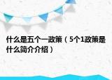 什么是五个一政策（5个1政策是什么简介介绍）