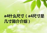 a4什么尺寸（a4尺寸是几寸简介介绍）