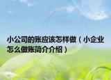 小公司的账应该怎样做（小企业怎么做账简介介绍）