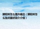 狮驼岭怎么提升输出（狮驼岭怎么加点最好简介介绍）
