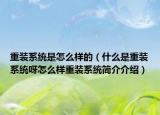 重装系统是怎么样的（什么是重装系统呀怎么样重装系统简介介绍）