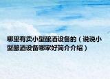 哪里有卖小型酿酒设备的（说说小型酿酒设备哪家好简介介绍）