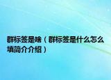 群标签是啥（群标签是什么怎么填简介介绍）