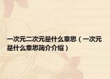 一次元二次元是什么意思（一次元是什么意思简介介绍）