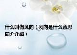 什么叫做风向（风向是什么意思简介介绍）