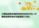 计算机信息系统的系统安全技术分为（计算机信息系统安全是指简介介绍）