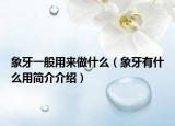 象牙一般用来做什么（象牙有什么用简介介绍）