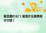 官宣是什么?（官宣什么意思简介介绍）