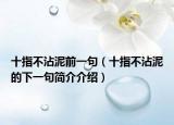 十指不沾泥前一句（十指不沾泥的下一句简介介绍）