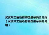 汉武帝之后还有哪些皇帝简介介绍（汉武帝之后还有哪些皇帝简介介绍）