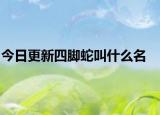 今日更新四脚蛇叫什么名