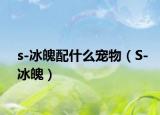 s-冰魄配什么宠物（S-冰魄）
