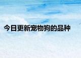 今日更新宠物狗的品种
