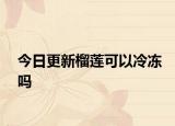 今日更新榴莲可以冷冻吗