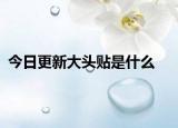 今日更新大头贴是什么