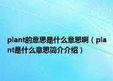 plant的意思是什么意思啊（plant是什么意思简介介绍）