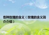各种玫瑰的含义（玫瑰的含义简介介绍）
