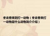 冬去春来到打一动物（冬去春来打一动物是什么动物简介介绍）